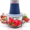 Premium Electric Meat Grinder Food Processor and 4 Titanium Blades, 12 Cup 2.2Qt Glass Strong Bowl